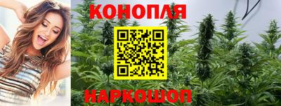 гидропоника Дубна