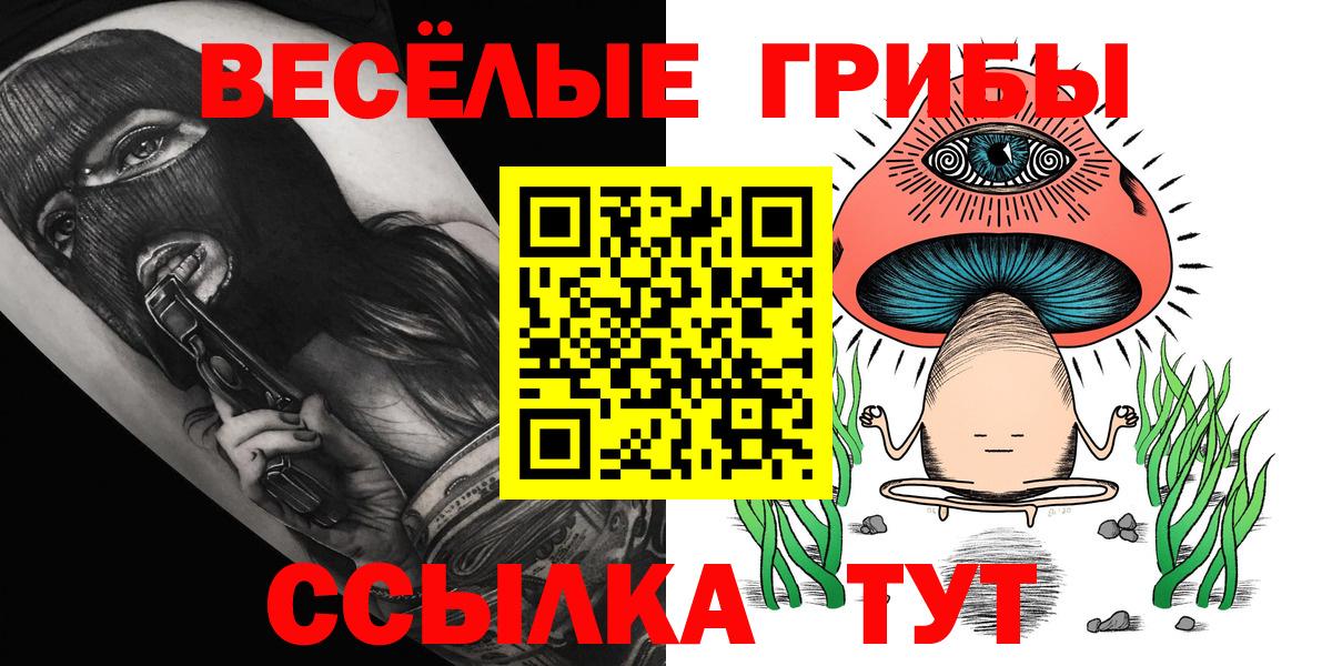 Псилоцибиновые грибы Cubensis  Вход с VPN  купить наркотик  Моздок 